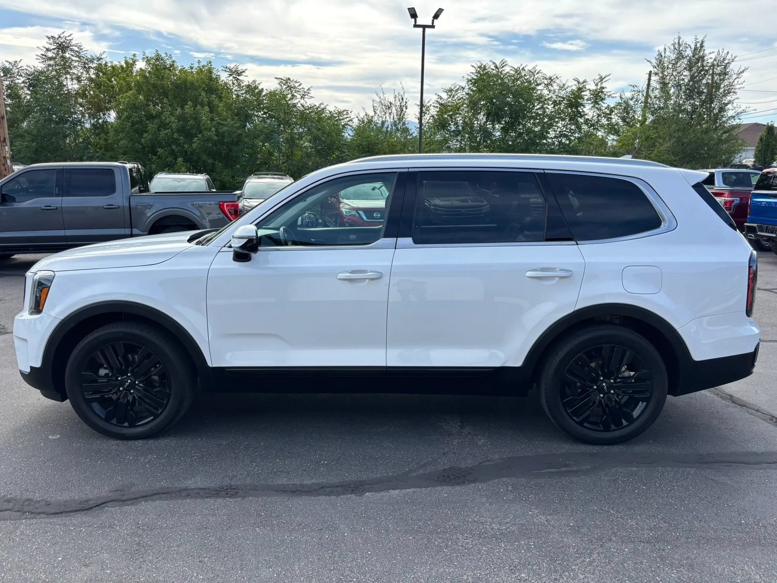 Used 2025 Kia Telluride SX AWD/4WD image 4