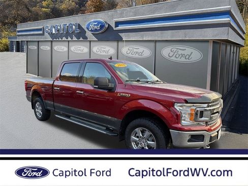 Used 2019 Ford F150 XLT w/ Equipment Group 302A Luxury image 1
