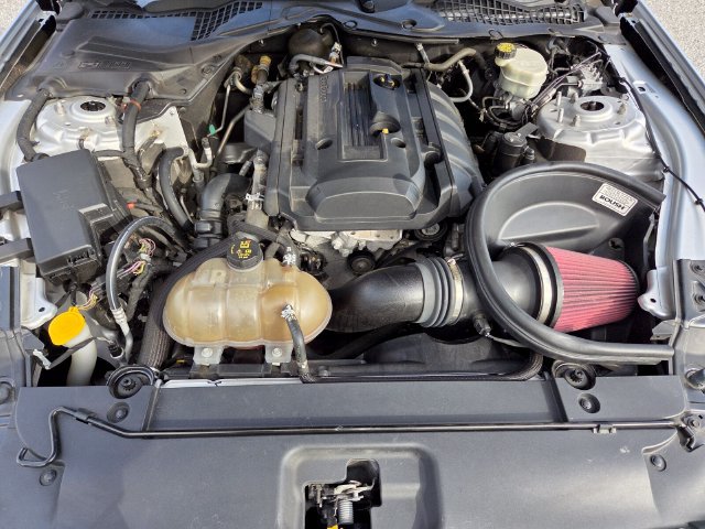 Used 2016 Ford Mustang Premium w/ Equipment Group 201A RWD image 18