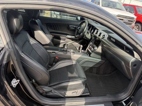 Used 2015 Ford Mustang GT Premium w/ 50 Years Appearance Package RWD image 11