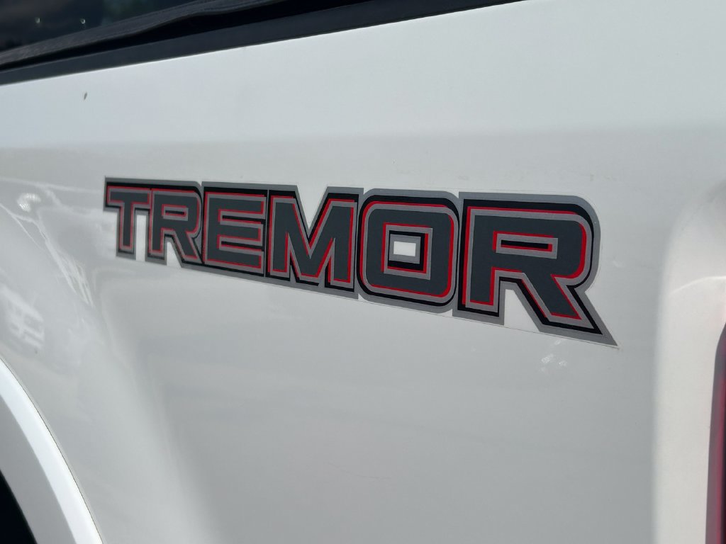 Used 2021 Ford F250 Lariat w/ Tremor Off-Road Package AWD/4WD image 13