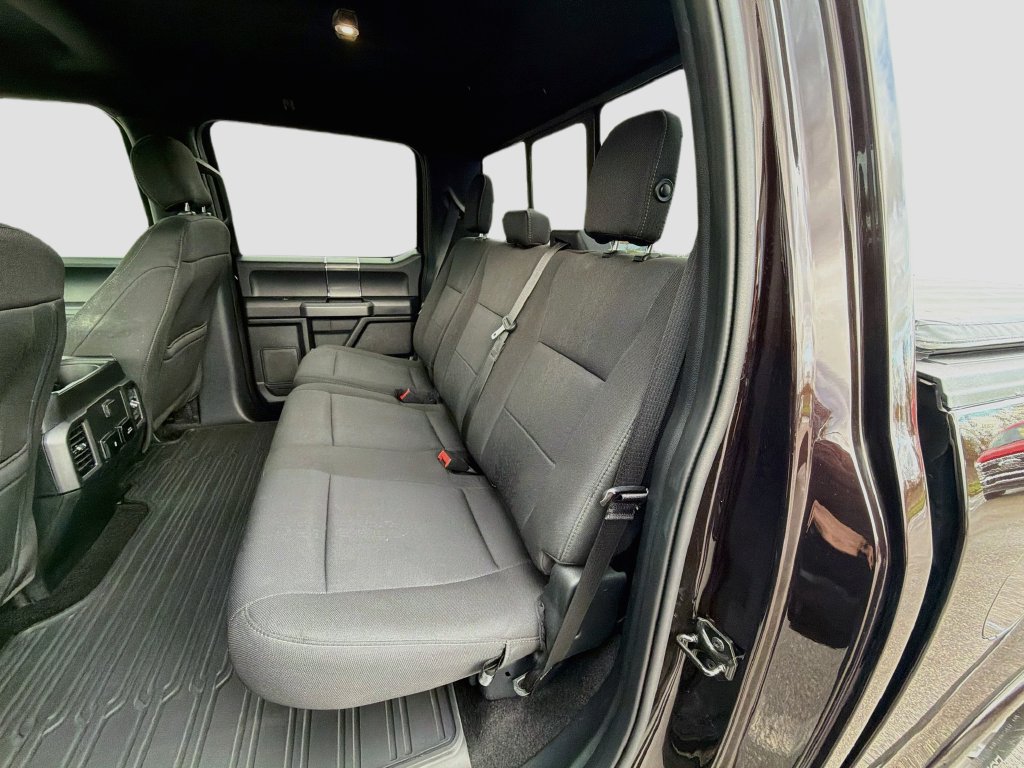 Used 2019 Ford F150 XLT w/ Equipment Group 302A Luxury AWD/4WD image 26