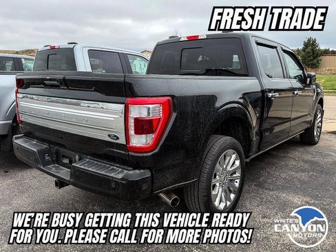 Used 2023 Ford F150 Limited image 2