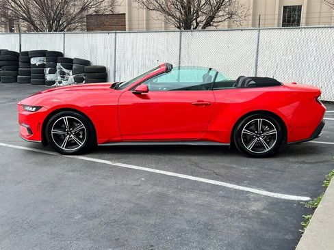 Used 2024 Ford Mustang Convertible image 4
