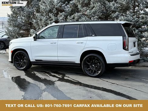 Used 2024 Cadillac Escalade Sport Platinum image 5