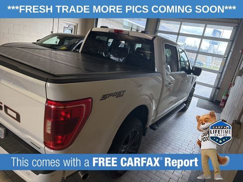 Used 2022 Ford F150 XLT w/ Equipment Group 302A High image 4