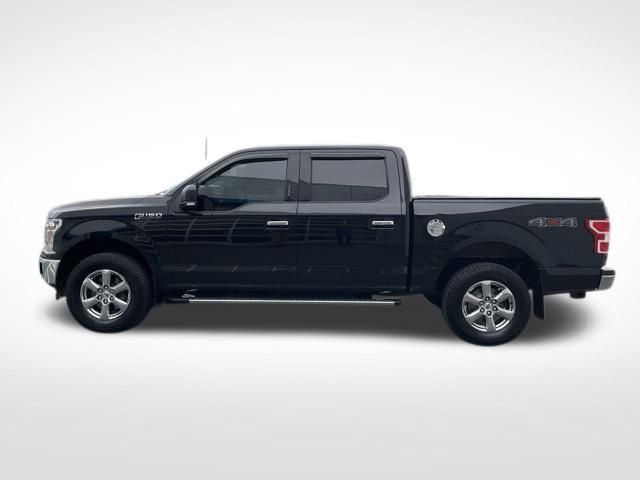 Used 2019 Ford F150 XLT w/ Equipment Group 302A Luxury AWD/4WD image 12