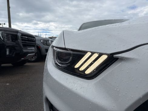 Used 2019 Ford Mustang Shelby GT350 w/ Technology Package image 15