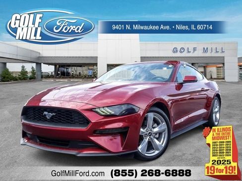 Certified 2019 Ford Mustang Premium w/ Equipment Group 201A RWD image 1