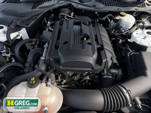 Used 2019 Ford Mustang Coupe w/ Equipment Group 101A RWD image 15