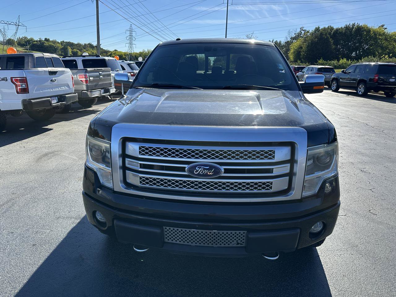 Used 2013 Ford F150 Platinum AWD/4WD image 7