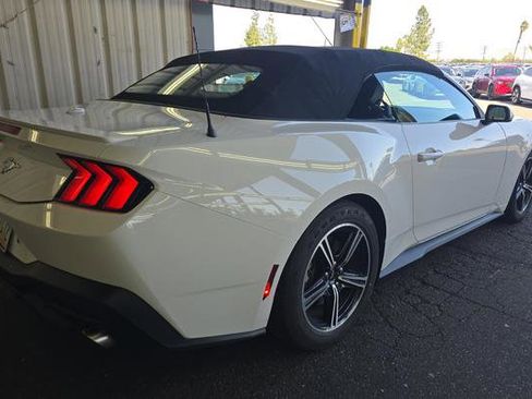 Used 2024 Ford Mustang Premium image 3