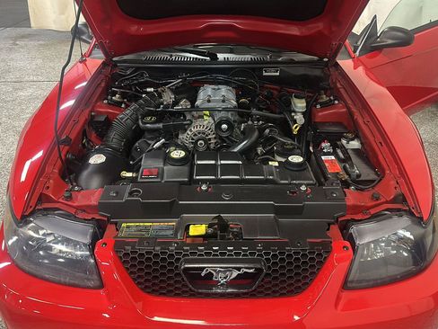 Used 2002 Ford Mustang GT RWD image 14