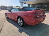 Used 2006 Ford Mustang GT Premium image 6