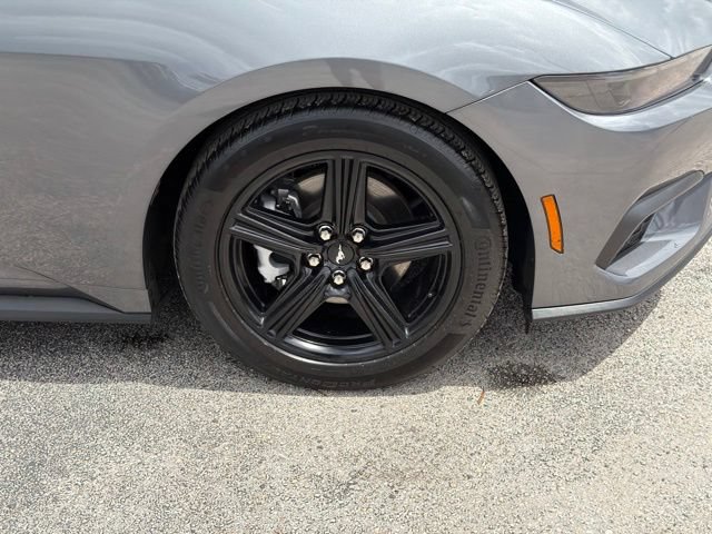 Used 2026 Ford Mustang Coupe RWD image 11
