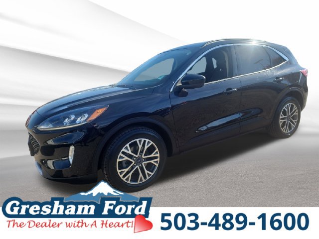 Used 2020 Ford Escape SEL AWD/4WD 360° Tour