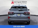 Used 2024 Ford Escape ST-Line image 4