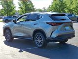 Certified 2025 Lexus NX 350 AWD w/ Premium Package image 4