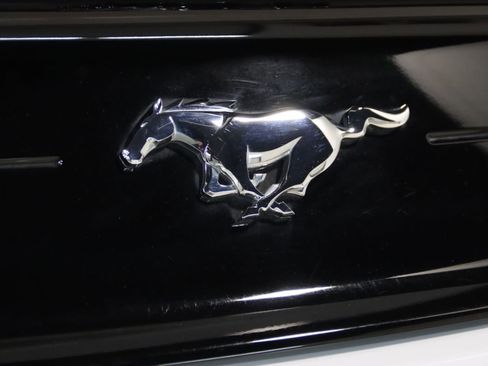 Used 2021 Ford Mustang Premium image 15