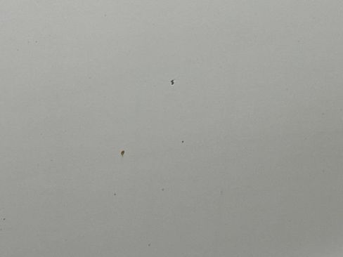 Used 2018 Chevrolet Silverado 1500 LT w/ All Star Edition image 31