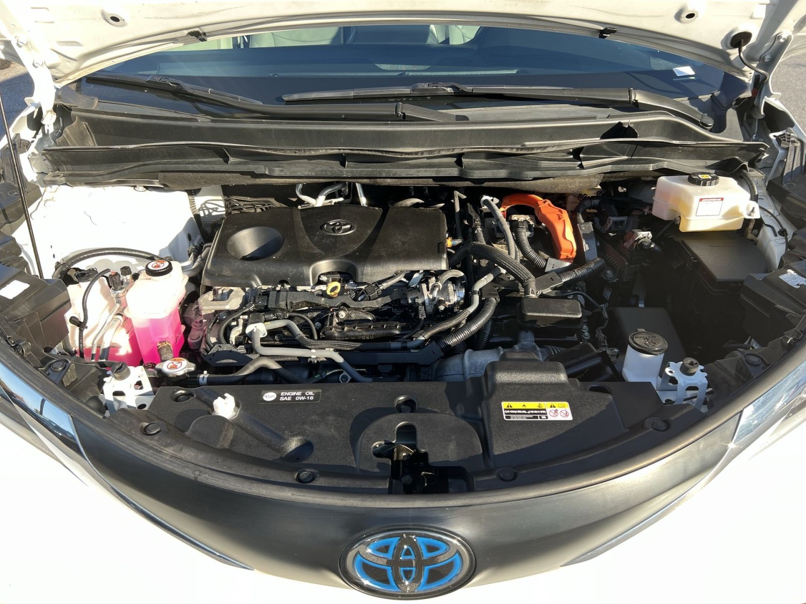 Used 2024 Toyota Sienna XLE w/ XLE Plus Package AWD/4WD image 29