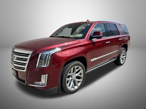 Used 2020 Cadillac Escalade Platinum AWD/4WD image 1