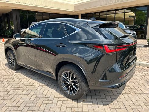 Used 2025 Lexus NX 250 FWD w/ Accessory Package (Z1) image 5