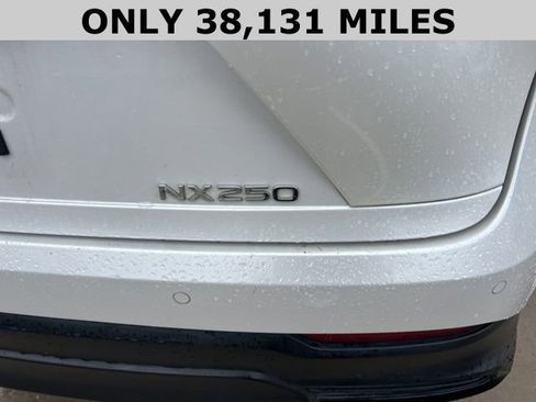 Used 2024 Lexus NX 250 FWD image 4