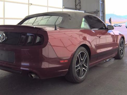 Used 2014 Ford Mustang Premium w/ Equipment Group 201A RWD image 4