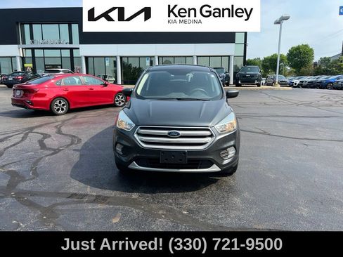 Used 2019 Ford Escape SE FWD image 2