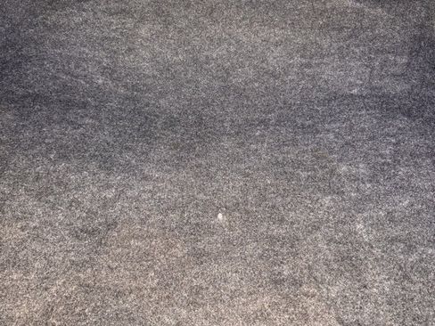 Used 2012 Ford Mustang Premium image 12