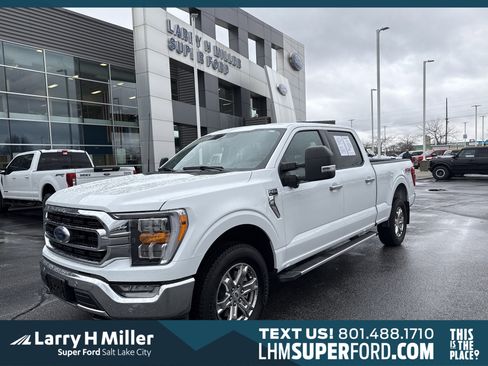 Certified 2023 Ford F150 XLT w/ Equipment Group 302A High image 1