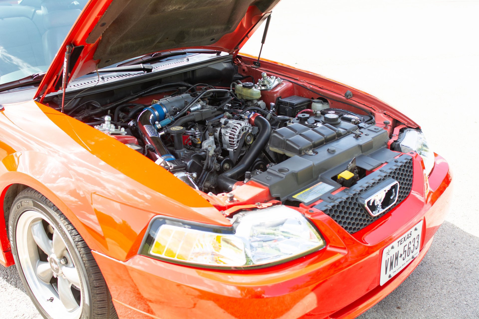 Used 2001 Ford Mustang GT RWD image 19