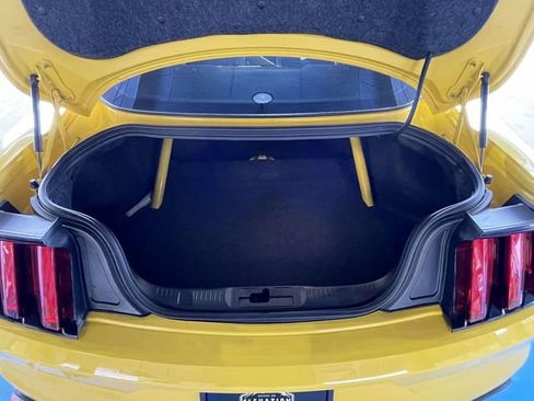 Used 2017 Ford Mustang Shelby GT350 image 10