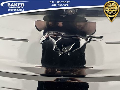 Used 2019 Ford Mustang EcoBoost w/ Equipment Group 101A image 30