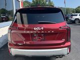 Used 2024 Kia Telluride SX Prestige image 5