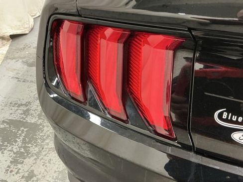 Used 2021 Ford Mustang GT Premium image 9