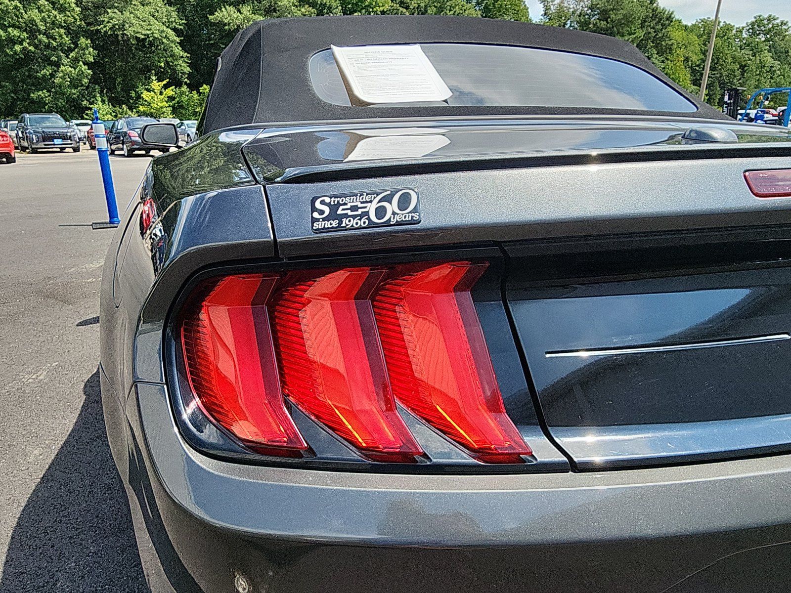 Used 2019 Ford Mustang Premium w/ Equipment Group 201A RWD image 13