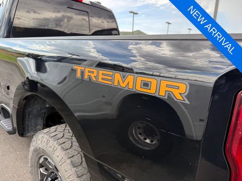 Used 2024 Ford F350 Platinum w/ Tremor Off-Road Package AWD/4WD image 7