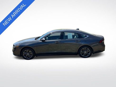 Used 2025 Honda Accord EX-L image 4