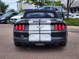 Used 2017 Ford Mustang Premium image 6