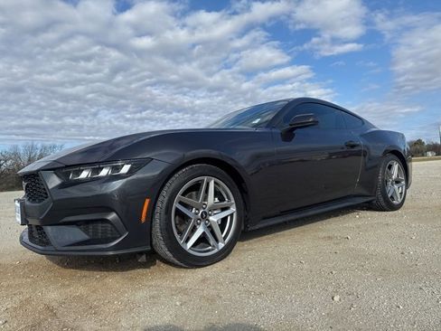 Used 2024 Ford Mustang Premium image 1