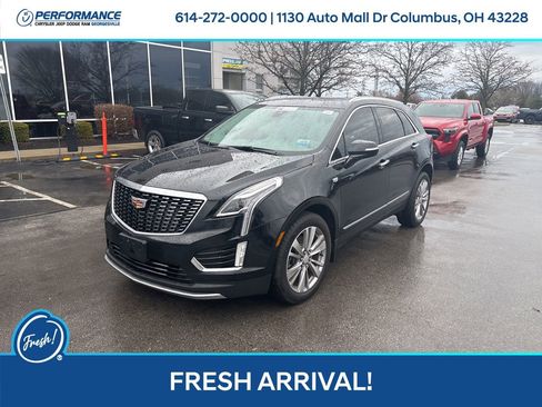Used 2023 Cadillac XT5 Premium Luxury image 8