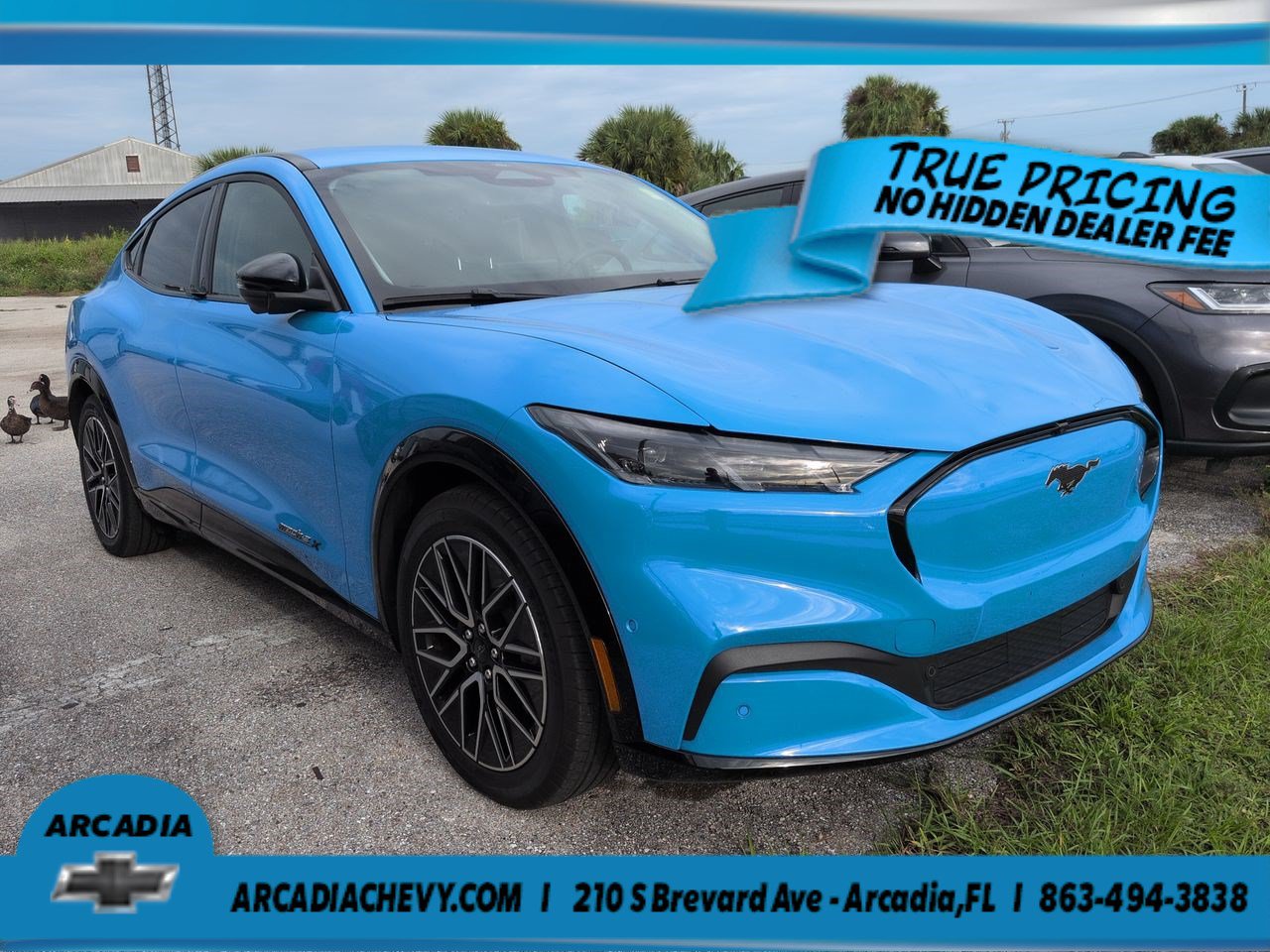 Used 2024 Ford Mustang Mach-E Premium RWD image 1