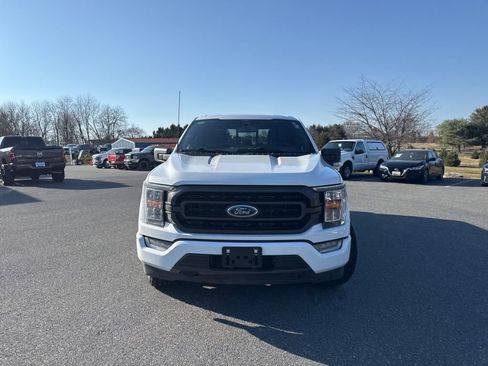 Used 2023 Ford F150 XLT w/ Equipment Group 302A High image 2