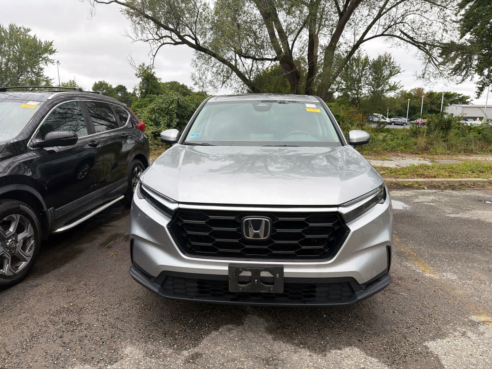 Used 2024 Honda CR-V EX image 4