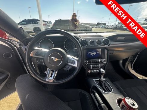 Used 2019 Ford Mustang Coupe w/ Ecoboost Performance Package image 7