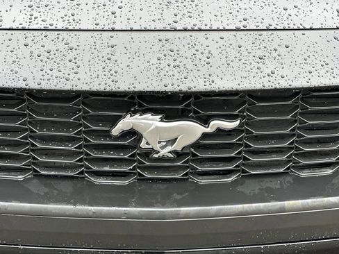 Used 2024 Ford Mustang Premium image 45