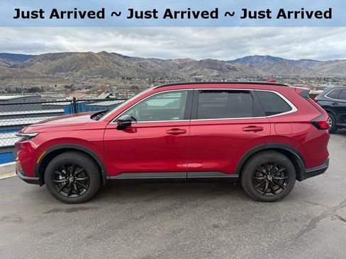 Certified 2024 Honda CR-V Sport image 1