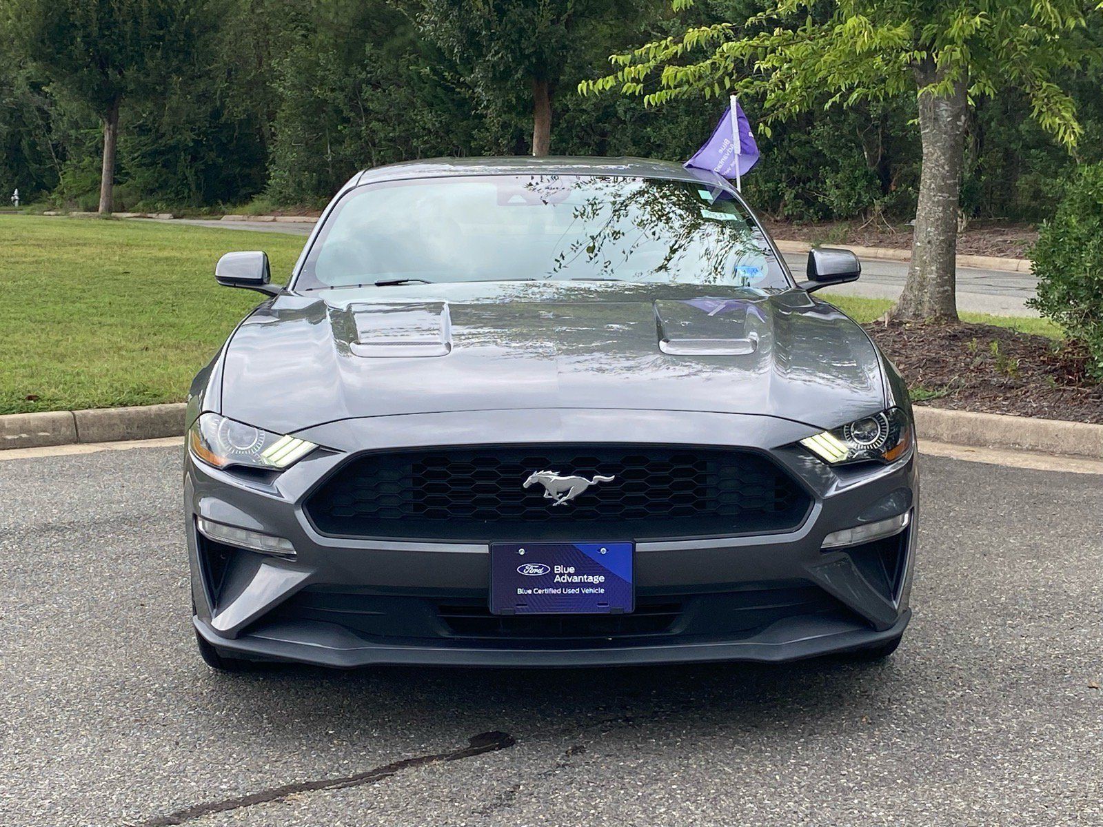 Certified 2022 Ford Mustang Coupe RWD image 6